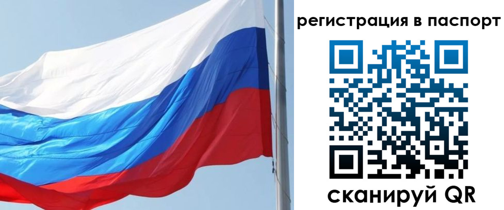 прописка законно в Шебекино